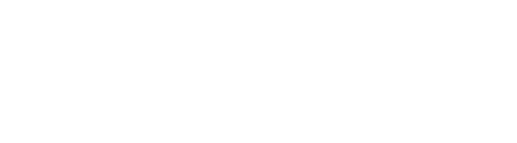 Nederlandse Academie voor Beeldcreatie